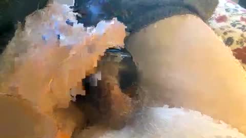 Snapshot of romantiko9 chatting on January 24, 4:17 pm romantiko9 online show from January 24, 4:17 pm