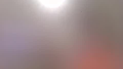 Trinked online show from November 17, 10:18 am