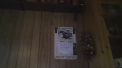 roses2u1958 online show from February 2, 2:24 pm