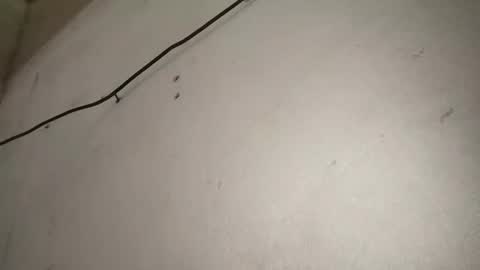 Ribuu online show from March 3, 5:12 pm