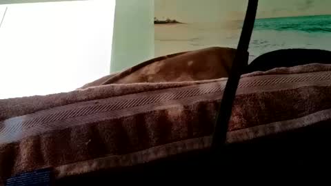 rthammy72 online show from September 26, 6:27 pm