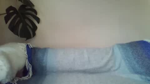 Snapshot of s43_ chatting on March 12, 12:15 pm s43_ online show from March 12, 12:15 pm