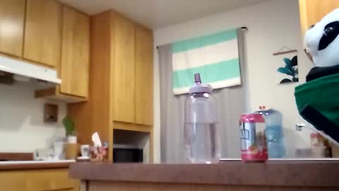 Snapshot of salis1981 chatting on September 17, 6:31 pm salis1981 online show from September 17, 6:31 pm