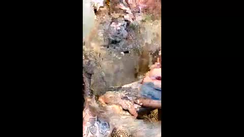 samboiamtho online show from February 3, 6:22 am