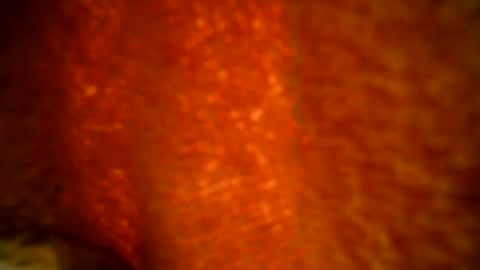 samueltal online show from October 4, 10:03 pm