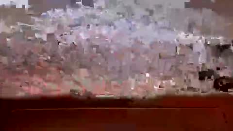 sbs345345 online show from October 28, 4:04 am