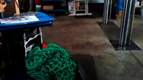 schmaichi online show from March 10, 8:17 am