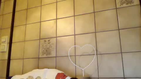 Snapshot of schnibschnab chatting on October 26, 2:13 am schnibschnab online show from October 26, 2:13 am