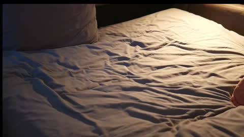 sde7886564 online show from November 11, 10:59 pm