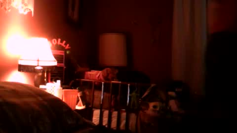 seanstiffy3916 online show from April 4, 1:24 am