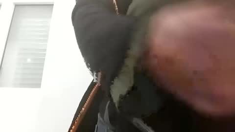 sebtin1979 online show from February 25, 2:34 am