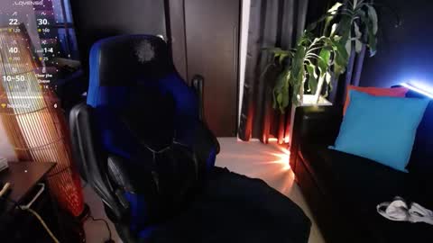 sed online show from February 21, 11:00 am