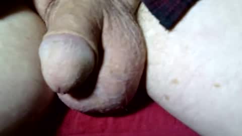 seeus24 online show from November 10, 7:13 am