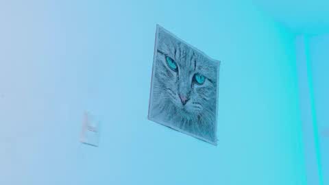 Snapshot of seven7xis chatting on September 13, 9:49 pm Alexis online show from September 13, 9:49 pm