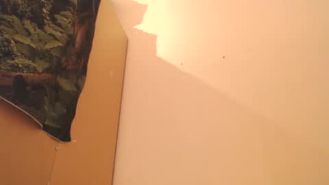 Snapshot of shawn542474 chatting on February 16, 5:48 pm Shaun   online show from February 16, 5:48 pm