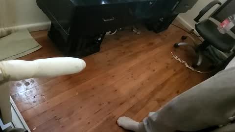 sissyanalslut521247 online show from October 4, 1:32 am