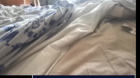 skima48 online show from September 17, 7:53 am