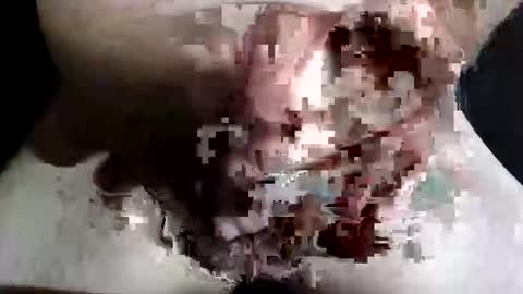 Z online show from November 10, 8:47 pm