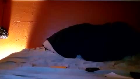 Sloanskirty online show from March 16, 12:17 am