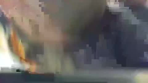 snbfun online show from January 20, 11:54 pm