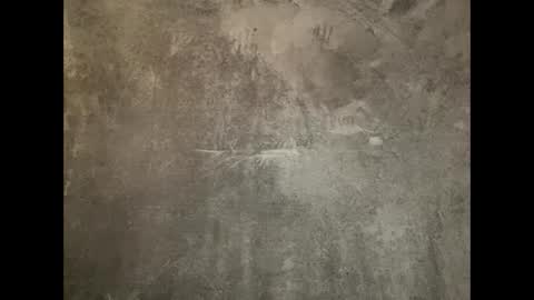 Will Rex online show from January 19, 6:09 am