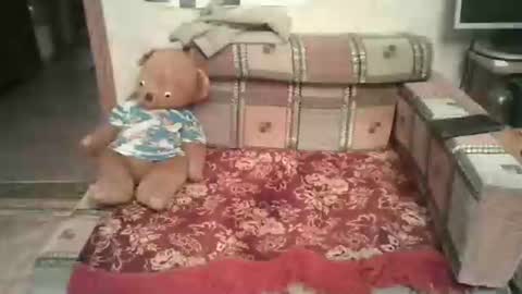 solilay online show from December 18, 4:25 pm