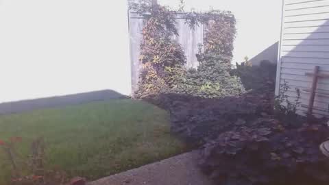 srtxshow online show from November 12, 8:14 pm