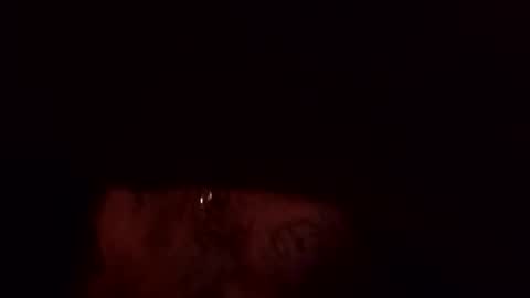 ssdrums3 online show from January 15, 9:57 am