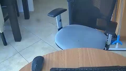 stallionvip online show from February 26, 12:39 pm