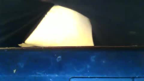 CIPPALIPPA online show from November 9, 4:00 pm