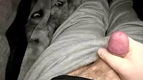 stargazor online show from February 10, 8:19 am