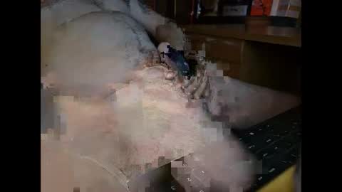 starwatcher14 online show from October 6, 4:11 pm