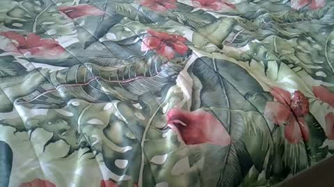 Snapshot of stel7621 chatting on December 4, 1:42 pm Rocco-load online show from December 4, 1:42 pm