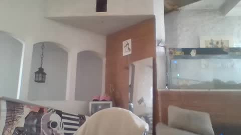 stevenson988 online show from March 10, 3:52 pm