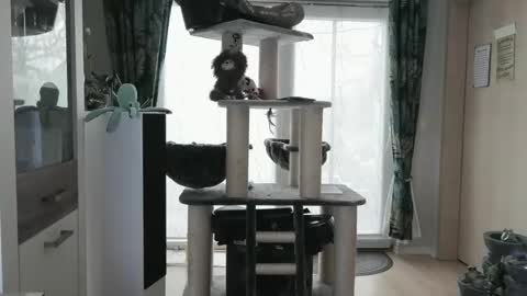 Stranger online show from April 13, 5:41 am