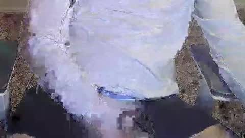 Rod Cox online show from January 11, 7:12 am