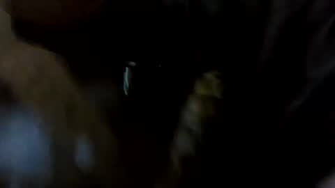 Snapshot of stuntcockdouble chatting on October 16, 8:11 am stuntcockdouble online show from October 16, 8:11 am