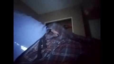 suavecito123828379 online show from January 17, 8:44 pm