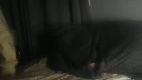 sullyp1987 online show from March 23, 9:59 am