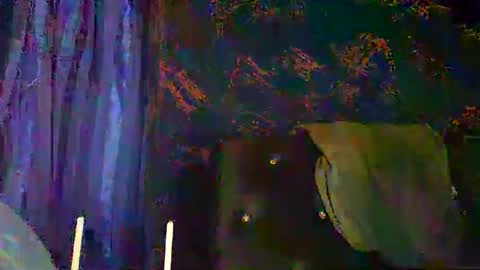 Sunnyblack2 online show from March 27, 8:26 am