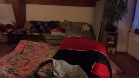 supersquirrel81 online show from April 6, 4:46 am