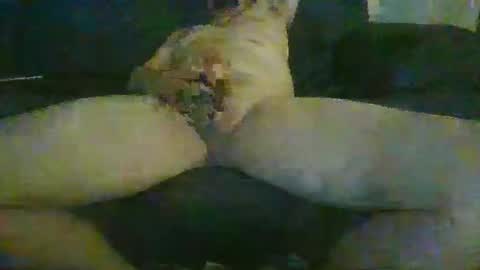 surge609 online show from November 15, 2:57 am