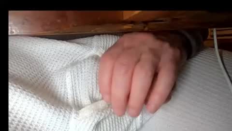 swamp486822 online show from February 27, 5:56 am