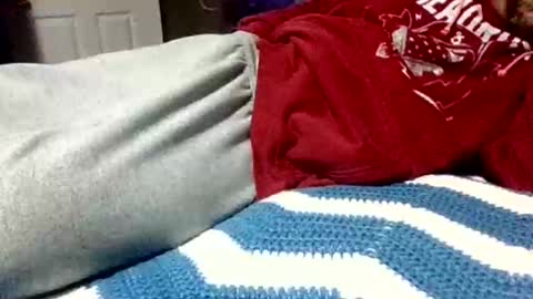 swampdonkey419 online show from October 18, 8:30 am