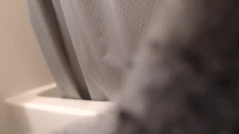 swollpole2112 online show from September 14, 6:15 am