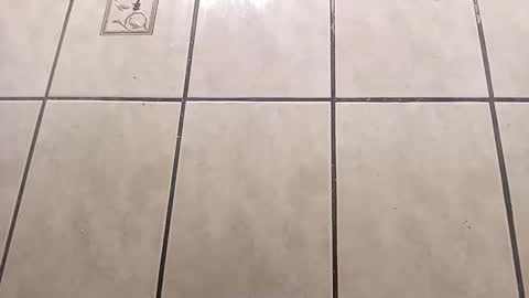 tall6feet7inch online show from October 1, 9:02 am