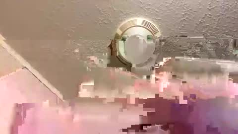 Lilbeebs online show from September 11, 11:59 pm