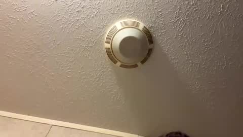 Lilbeebs online show from October 27, 10:56 pm