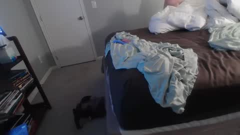 Tbiz82 online show from September 9, 6:24 am