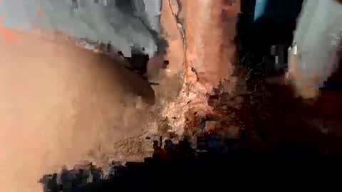 teddy8890 online show from January 6, 3:54 am